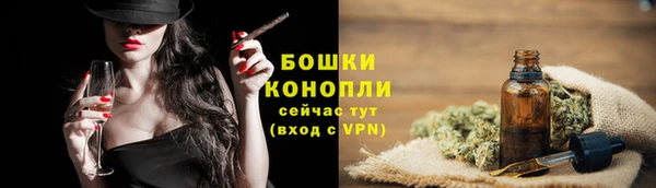 тгк Майский