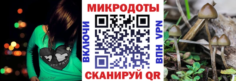 Псилоцибиновые грибы мицелий Льгов
