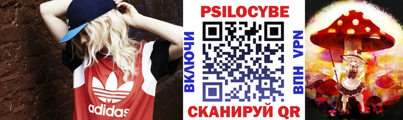 где купить наркотик  Льгов  omg сайт  мориарти Telegram  Галлюциногенные грибы Psilocybe 